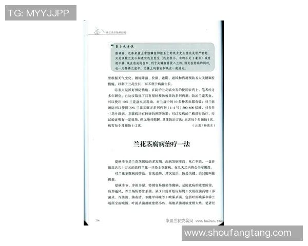 黄秀英独家分享：深入解析足球技巧与心得体会